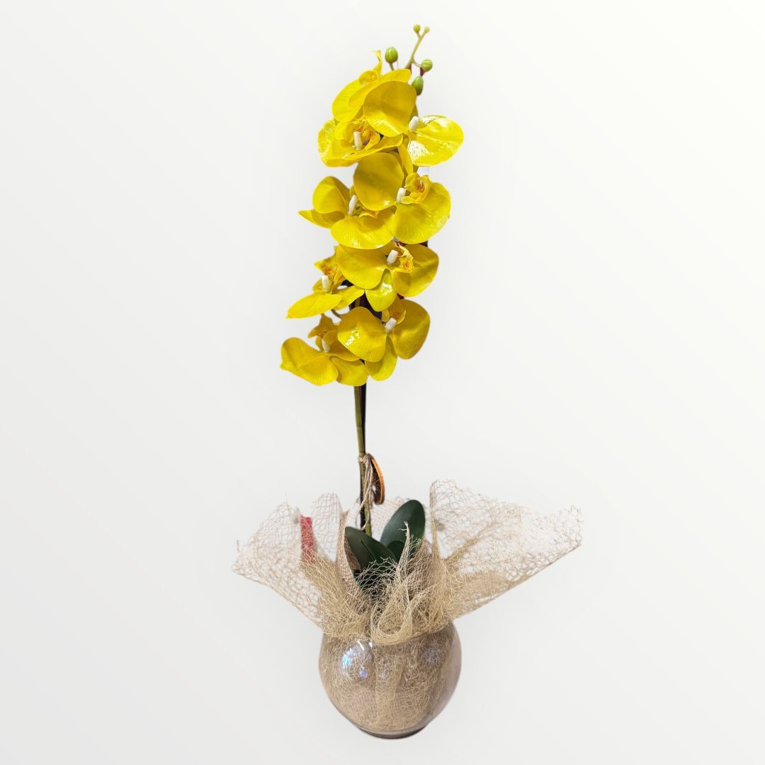 Yapay Tek Dal Sarı Orkide (Cam Fanus)