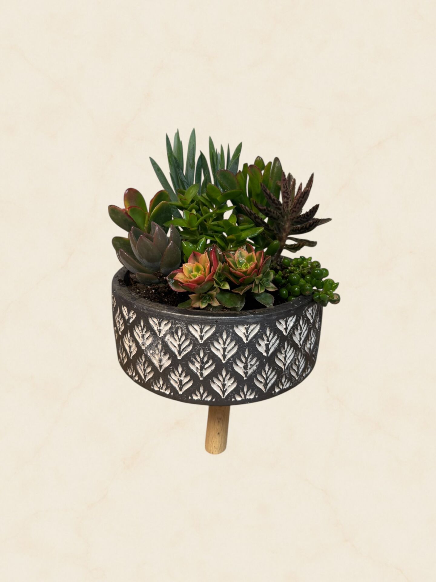 Sukulent Aranjman 20 cm (6)