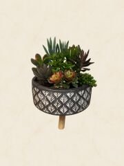 Sukulent Aranjman 20 cm (6)
