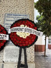 Kırmızı Beyaz Gerbera Taziye Çelengi